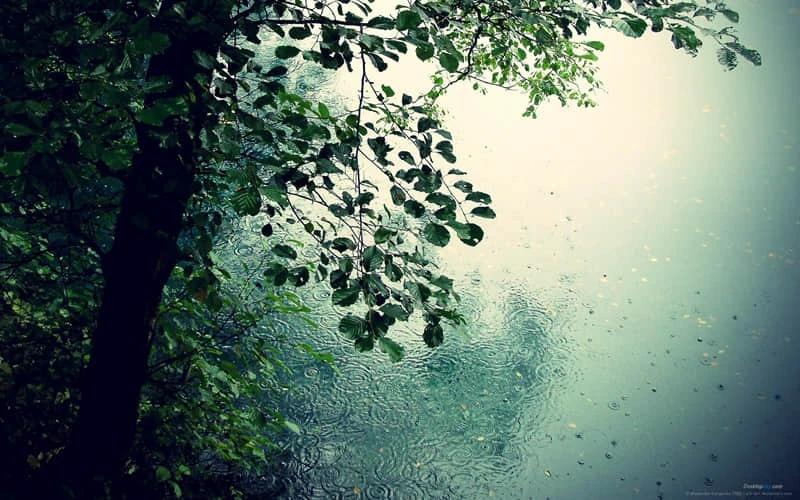 _0